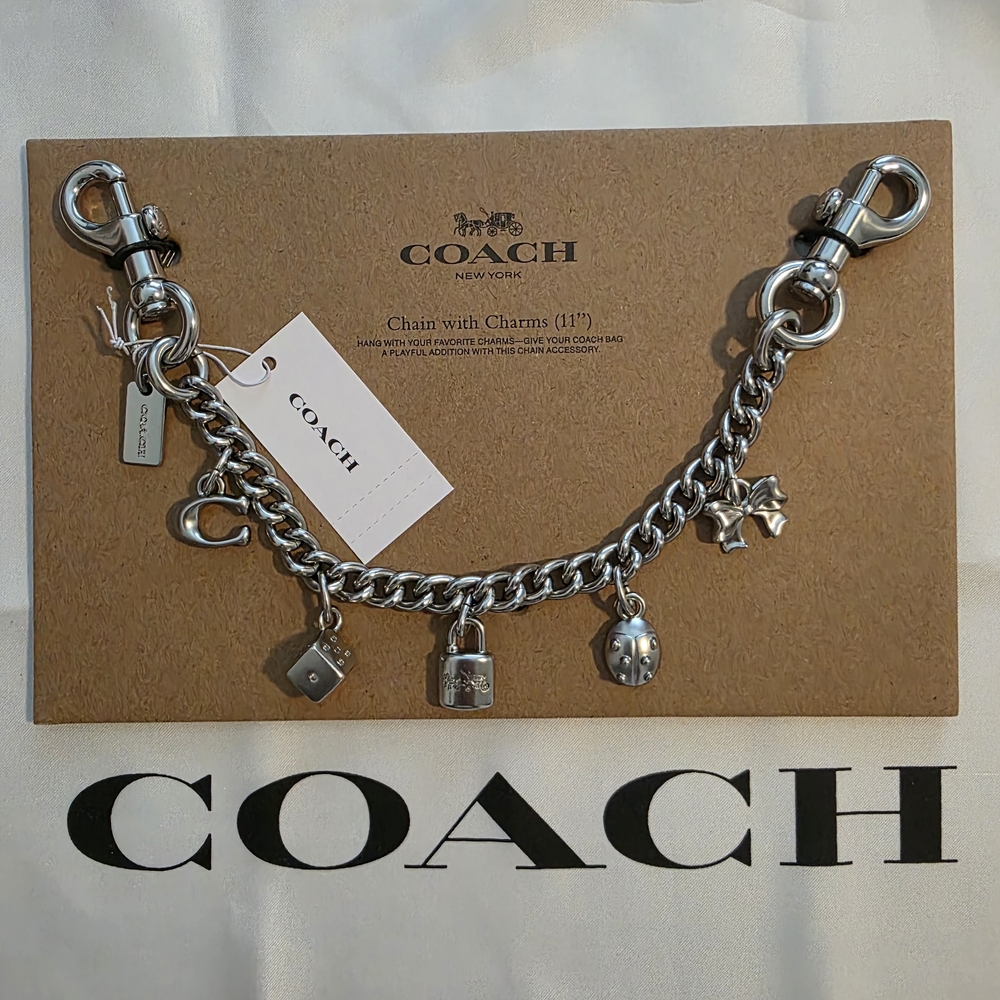 Coach Silver Swagger Chain With Charms